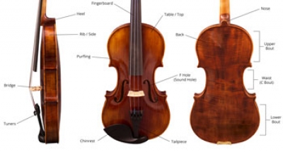 What Are The Different Parts of a Violin Called?